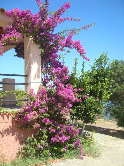 Maria'S Houses Apartment Koroni  Exterior photo